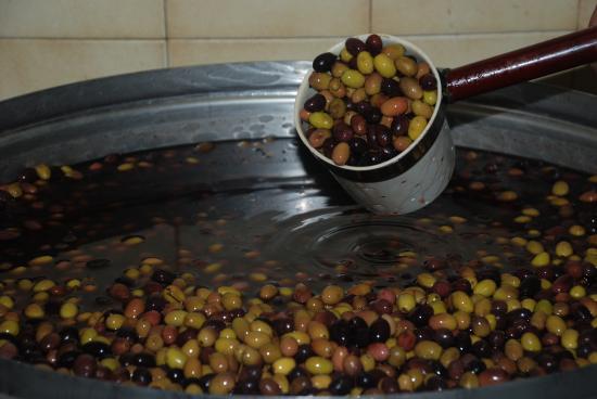 Olives de Nice