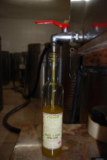 Extra Virgin Olive OIL Lessatini