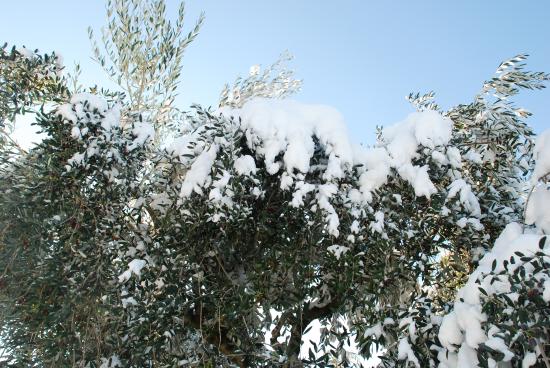 Hiver 2010