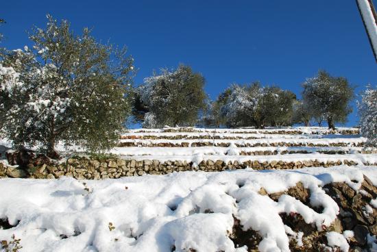 Hiver 2010