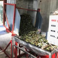 Vide Palox - Effeuillage