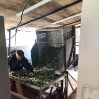 Vide Palox - Effeuillage